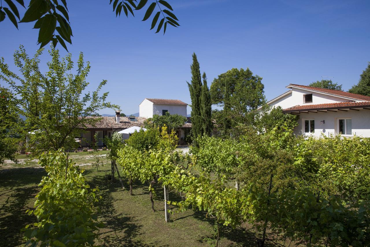 Antico Casale Spezia Pelagalli Aquino 外观 照片